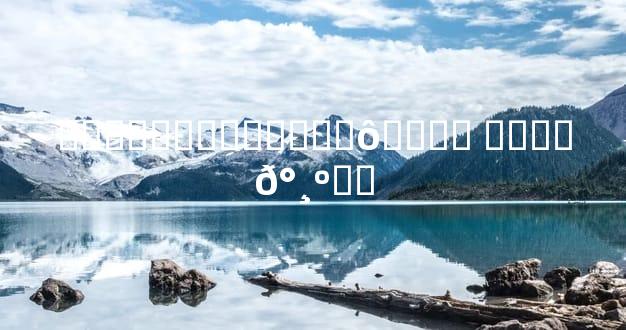 ���ƱȽ�������ʲô���� ��ʵ��